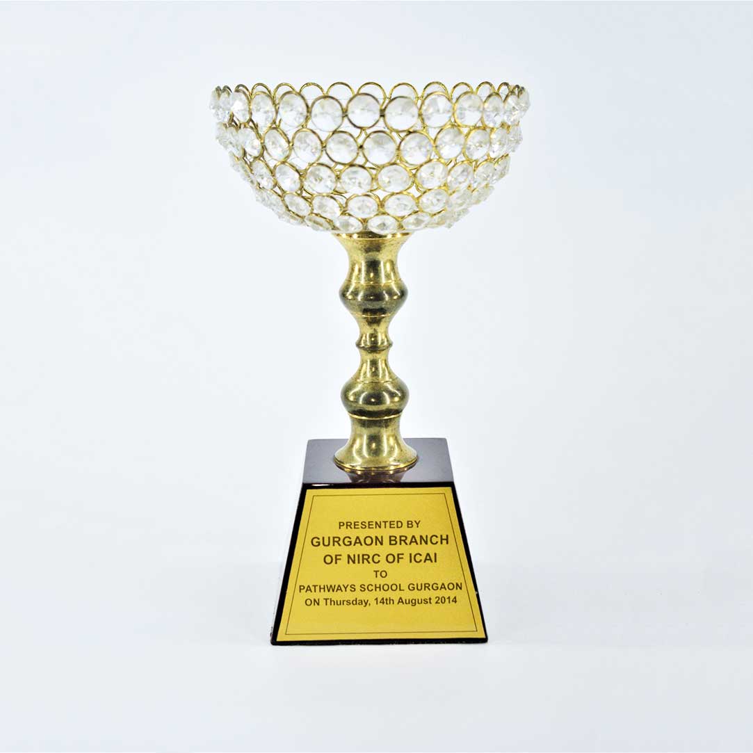 ICAI Award Pathways School Gurgaon