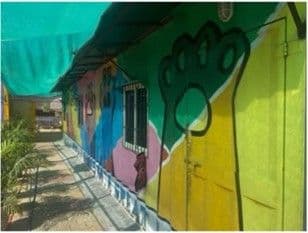 Wagging Tales Foundation